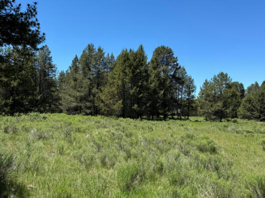 NFD 440 ROAD, CHILOQUIN, OR 97624 - Image 1