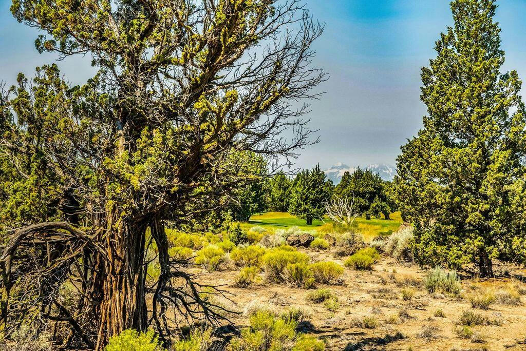 22914 MOSS ROCK DR LOT 215, BEND, OR 97701, photo 1 of 38