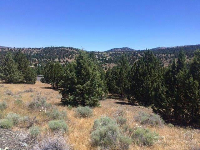 0 ADAM ROAD, CANYON CITY, OR 97820, photo 1 of 6