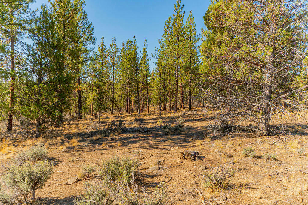 62984 LEVINS LN LOT 8, BEND, OR 97703, photo 1 of 34