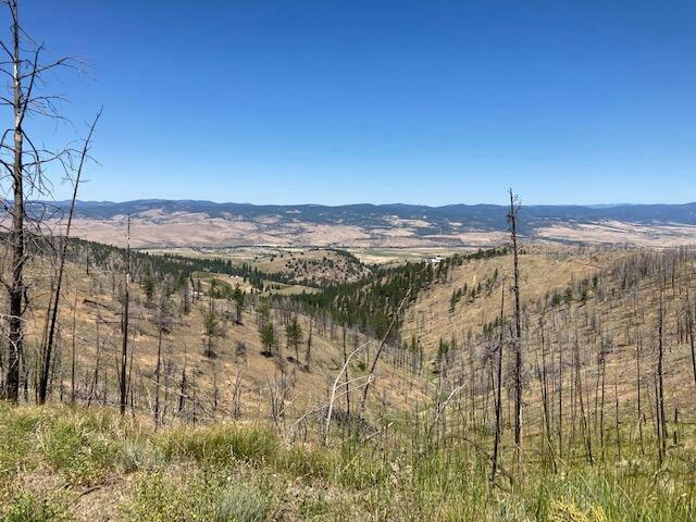 BALDY MT, JOHN DAY, OR 97845, photo 1 of 8