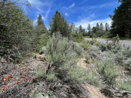 LOT 14 LEGGET, CHILOQUIN, OR 97624, photo 5 of 22