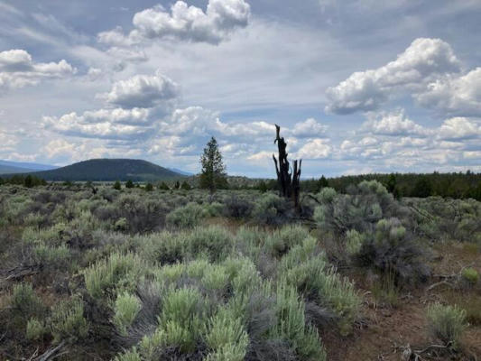 LOT 300 HWY 140, BEATTY, OR 97621, photo 5 of 16