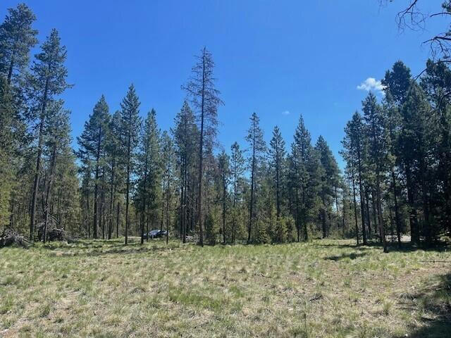 55907 SAVAGE DR, BEND, OR 97707, photo 1 of 8