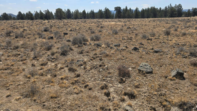 RIM DRIVE 1900, SPRAGUE RIVER, OR 97639 - Image 1