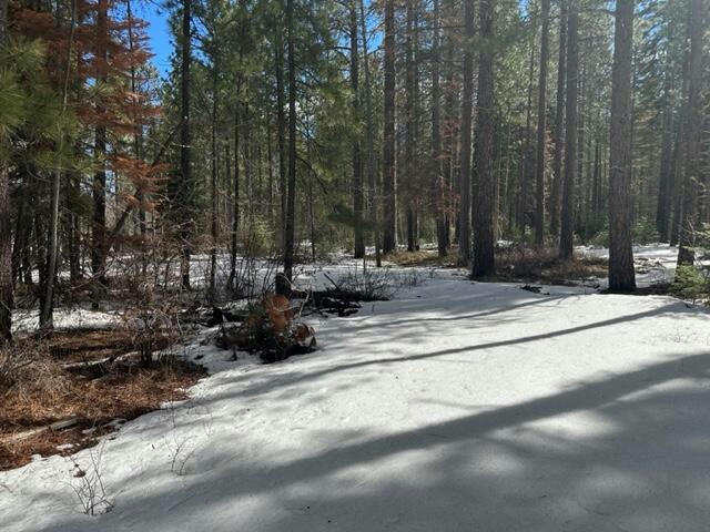 LOT 219 FRONTIER TRACTS B & C, KLAMATH FALLS, OR 97601, photo 1 of 4