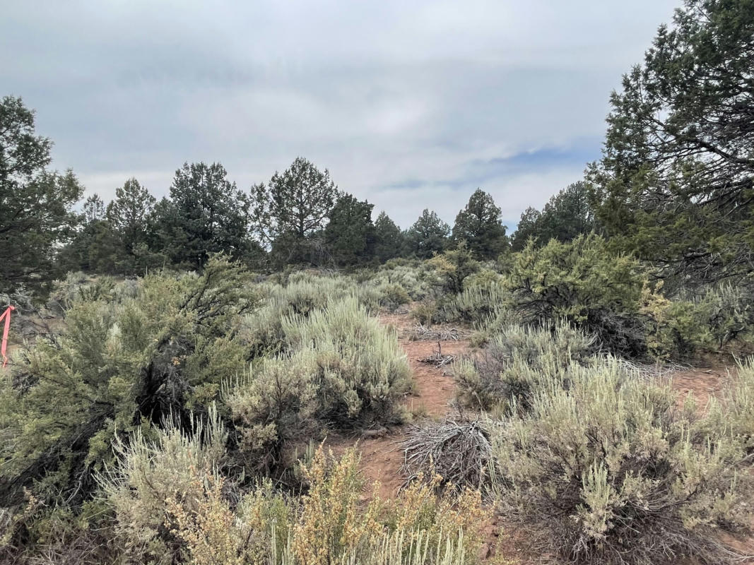 HARNEY STREET LOT 22, SPRAGUE RIVER, OR 97639, photo 1 of 15