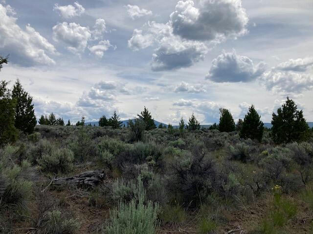 LOT 300 HWY 140, BEATTY, OR 97621, photo 1 of 16
