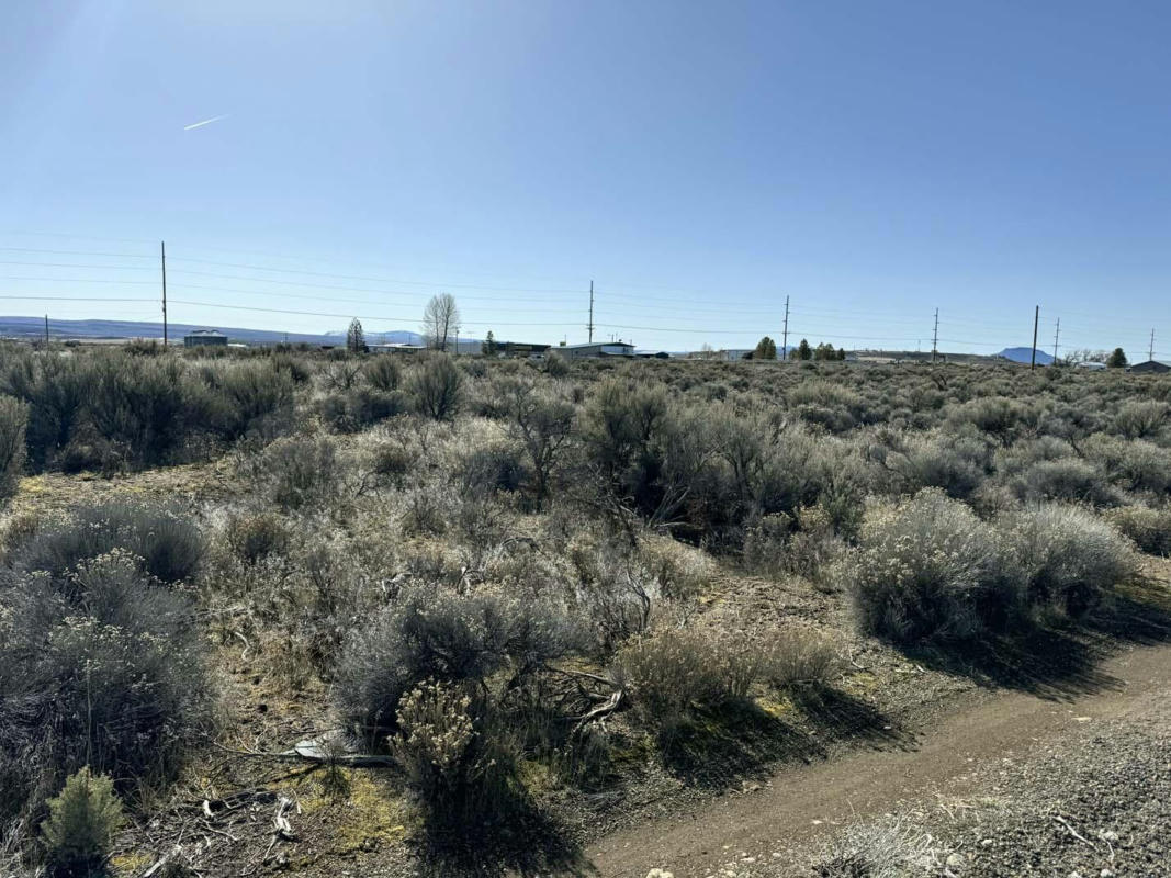 LARCH STREET LOT 100, CHRISTMAS VALLEY, OR 97641, photo 1 of 28