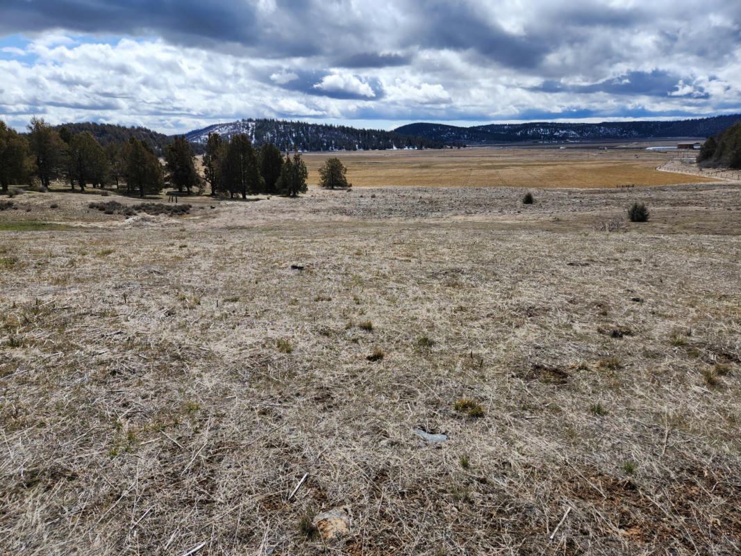 LOT 1134 MURRELET ROAD, KLAMATH FALLS, OR 97603, photo 1 of 12