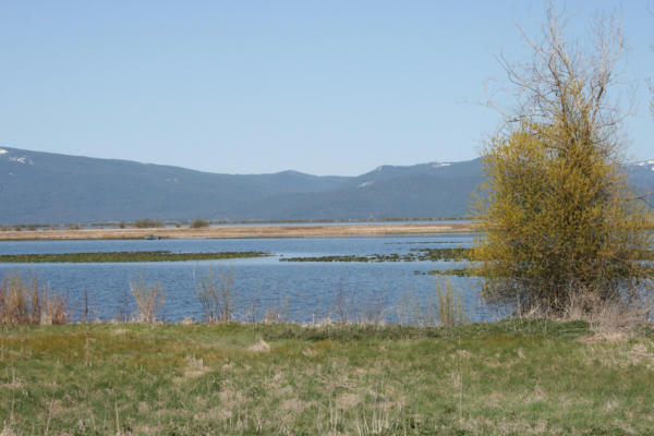 MODOC POINT RD. LOT 4, CHILOQUIN, OR 97624, photo 3 of 7
