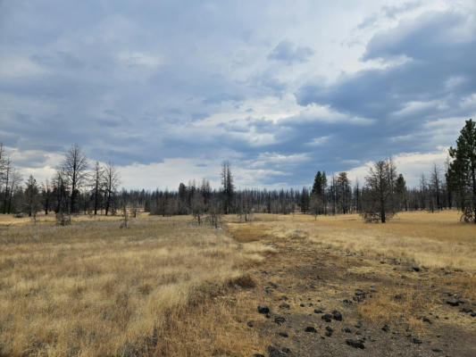 PARAZOO TRAIL LOT 15, BLY, OR 97622 - Image 1