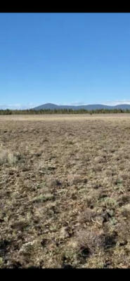 20 ACRES OFF OF OREGON PINES ROAD, SPRAGUE RIVER, OR 97639, photo 2 of 14