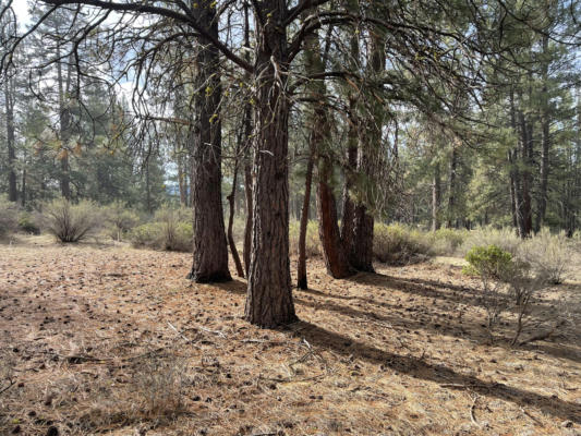S. WATERVIEW WAY LOT 6, CHILOQUIN, OR 97624 - Image 1