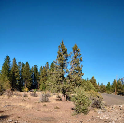 LOT 4400 QLIDIS DRIVE, BLY, OR 97622 - Image 1