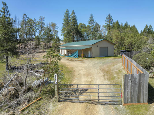 550 TERRACE HEIGHTS DR, SELMA, OR 97538 - Image 1