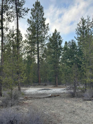KAM LOOP LOT # 30, GILCHRIST, OR 97737, photo 2 of 5