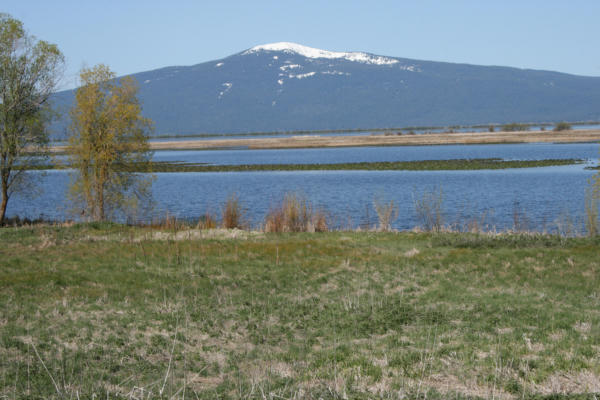 MODOC POINT RD. LOT 4, CHILOQUIN, OR 97624, photo 5 of 7