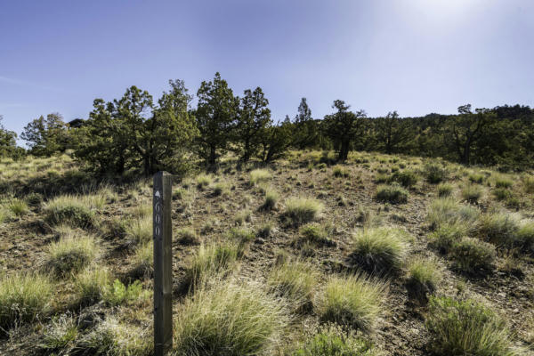 LOT 600 BRASADA RANCH PHASE 8, POWELL BUTTE, OR 97753, photo 2 of 23