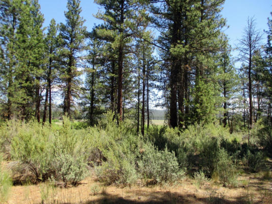 NKA BLOCK 1 LOT 3 LOAFERS LANE, CHILOQUIN, OR 97624 - Image 1