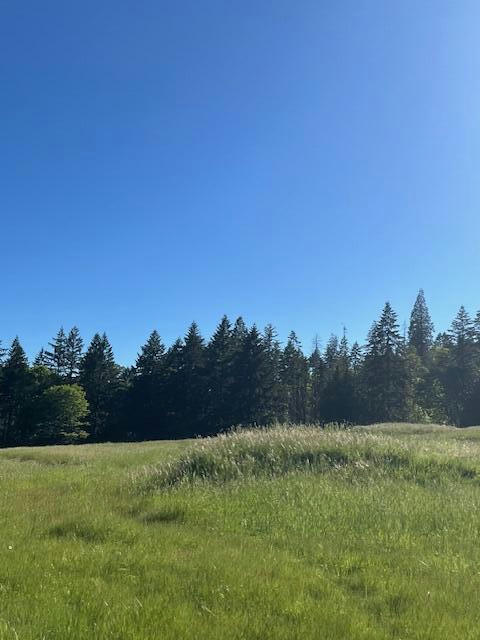 6160 LOWER GRAVE CREEK RD, WOLF CREEK, OR 97497, photo 1 of 28