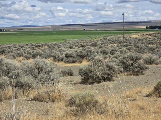 LOT 4 SHELLY STREET, CHRISTMAS VALLEY, OR 97641 - Image 1