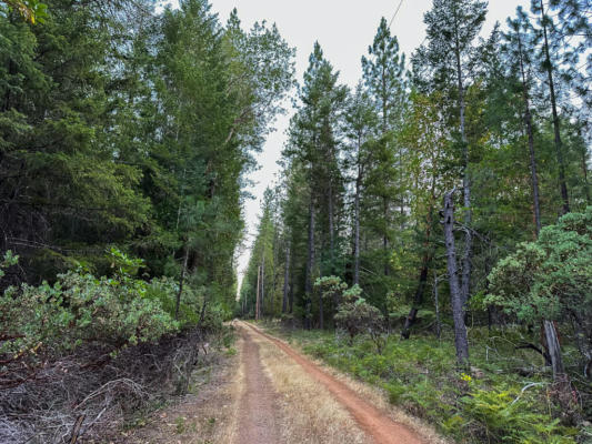 PLEASANT CR ROAD 124, ROGUE RIVER, OR 97537 - Image 1