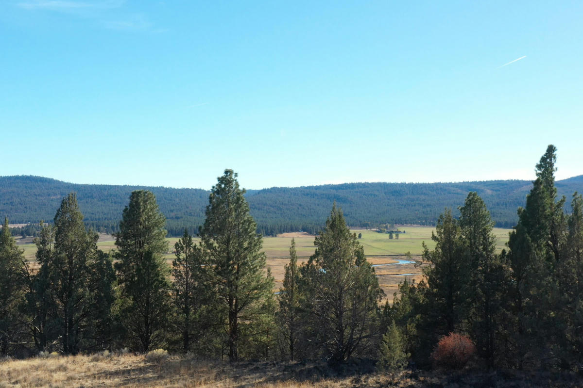 RIM DRIVE 102, CHILOQUIN, OR 97624, photo 1 of 18