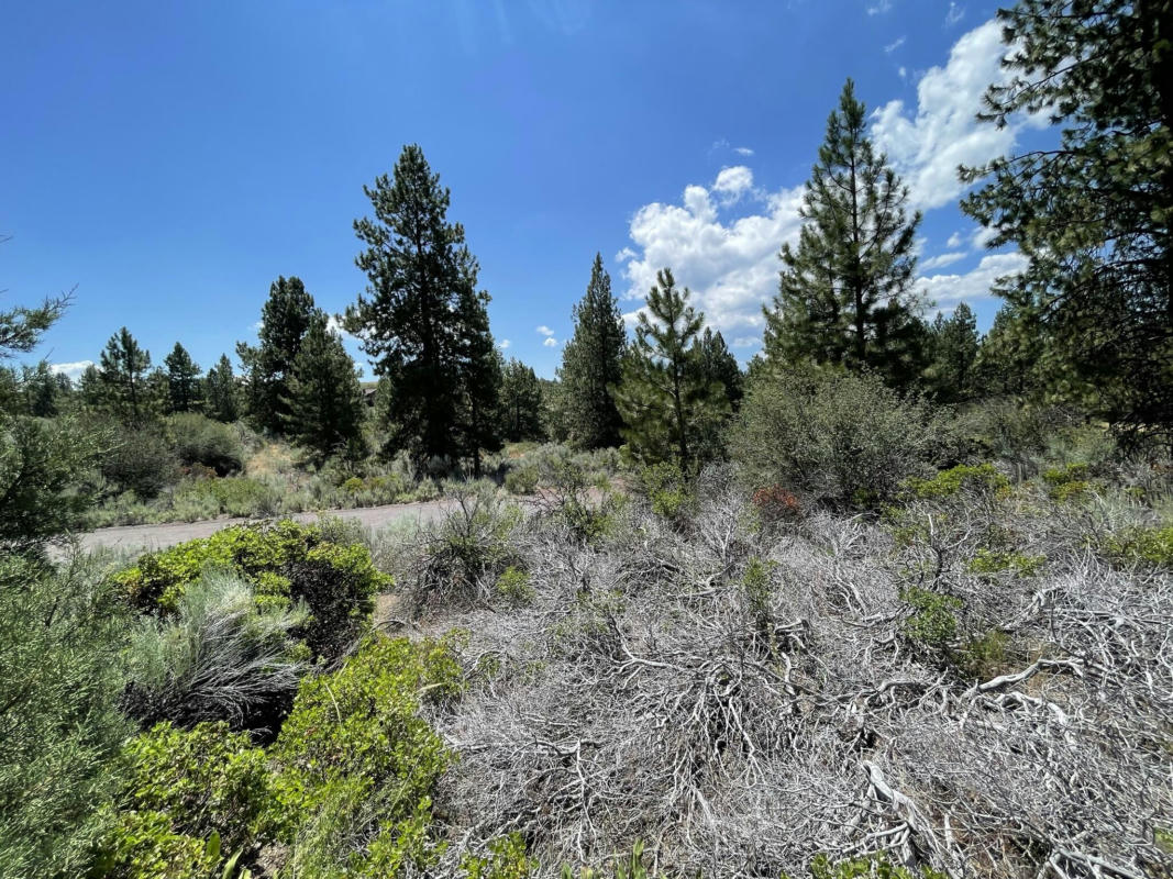 LEGGET DRIVE LOTS 21 & 22, CHILOQUIN, OR 97624, photo 1 of 18