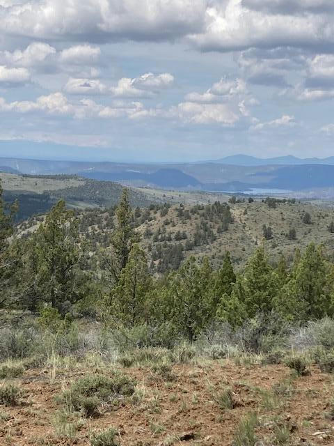 TBD SE COLBY SPRINGS ROAD, PRINEVILLE, OR 97754, photo 1 of 8
